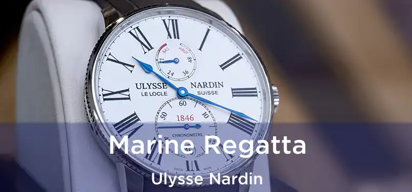  Marine Regatta Ulysse Nardin