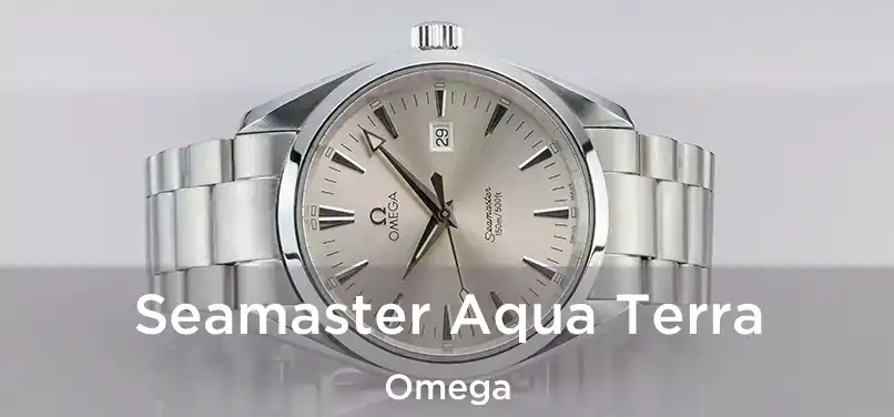  Seamaster Aqua Terra Omega